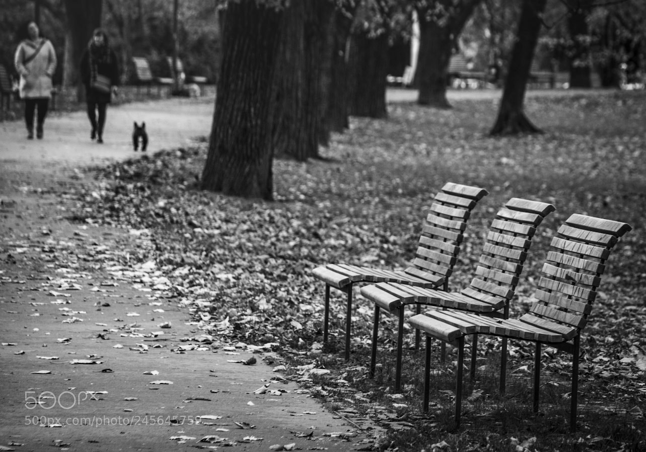 Canon EOS 550D (EOS Rebel T2i / EOS Kiss X4) sample photo. Three benches photography
