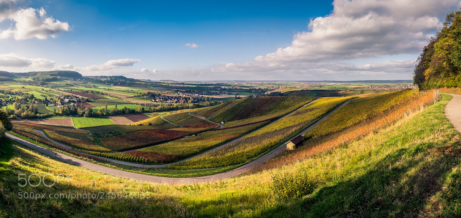 Fujifilm X-T1 sample photo. Vineyards in autumn. photography