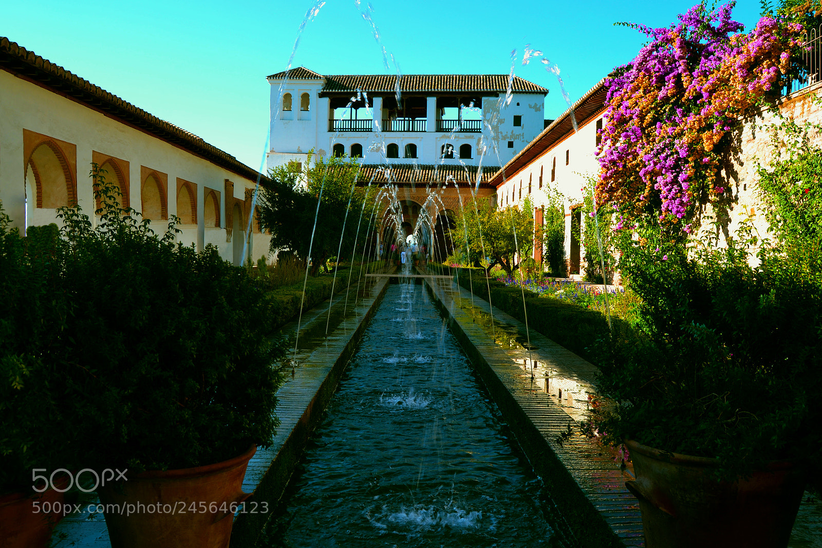 Nikon D3100 sample photo. Patio de la acequia photography