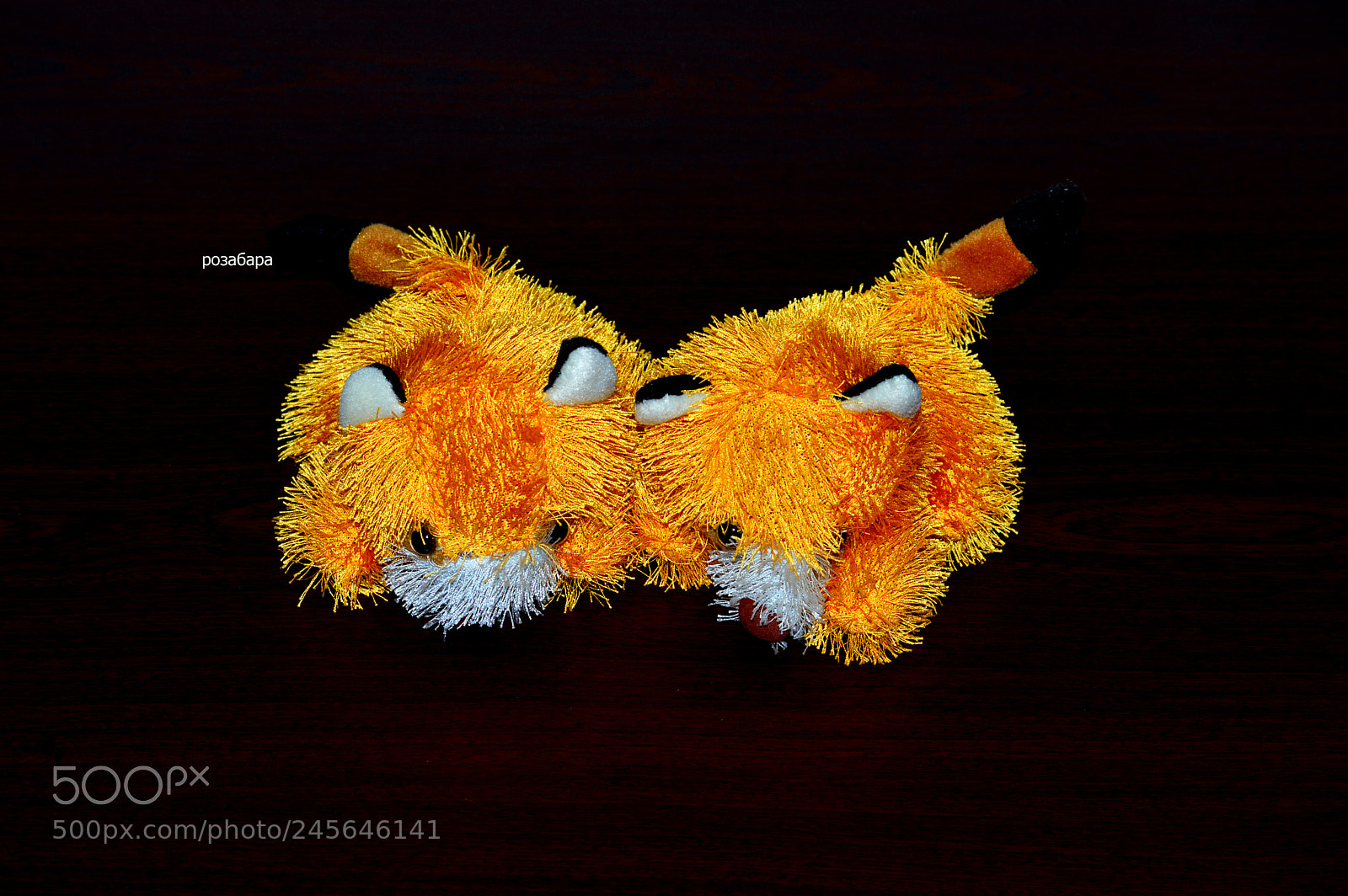 Nikon D3200 sample photo. игрушка непонятно кто photography