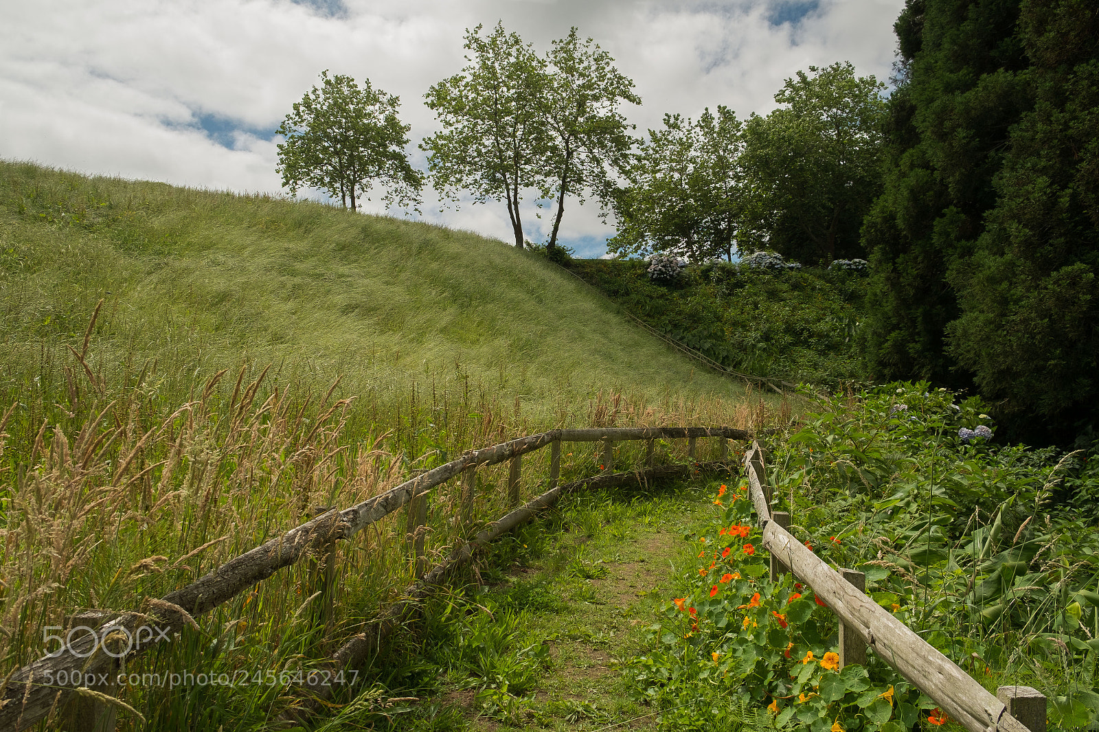 Fujifilm X-E1 sample photo. El camino photography