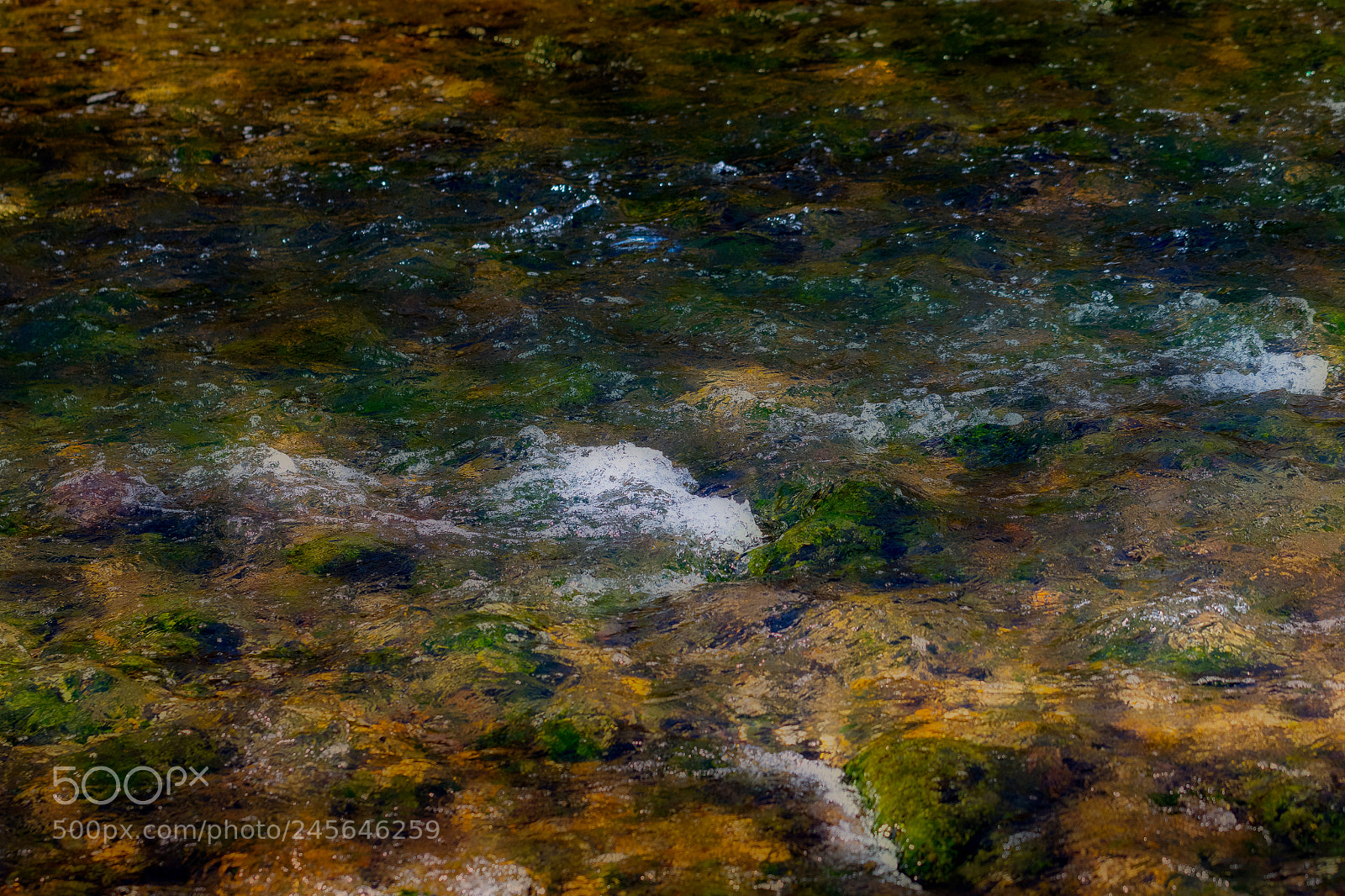 Canon EOS 7D Mark II sample photo. Water colors photography