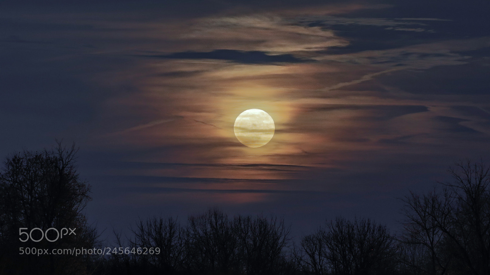 Canon EOS 7D Mark II sample photo. Supermoon 2017 photography