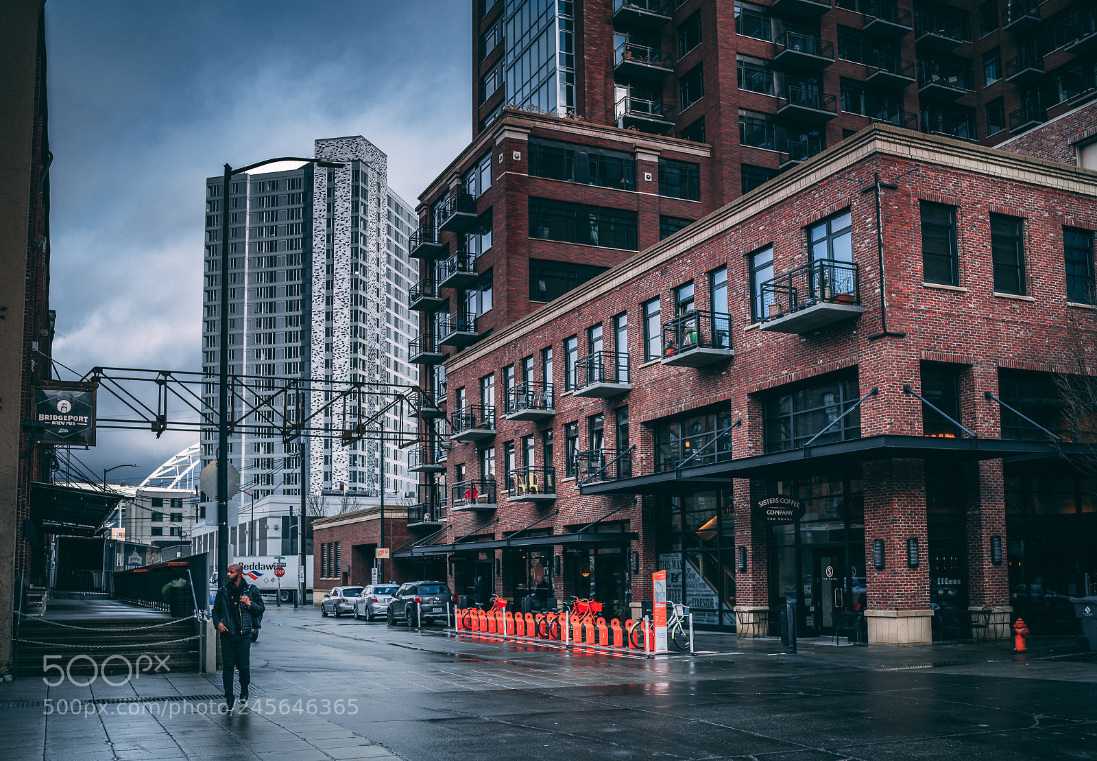 Sony a7R III sample photo. Contrasts photography