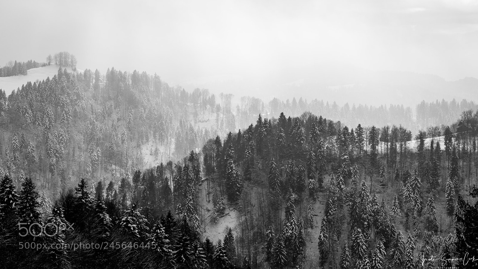 Nikon D500 sample photo. Sunbeams upon winter landscape photography