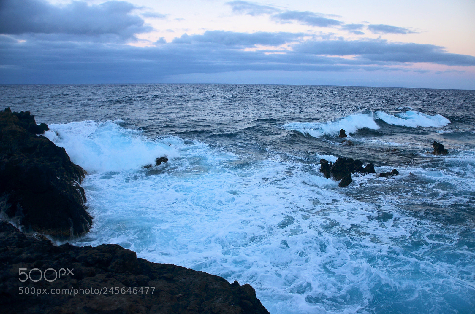 Nikon D5100 sample photo. Morninglight photography