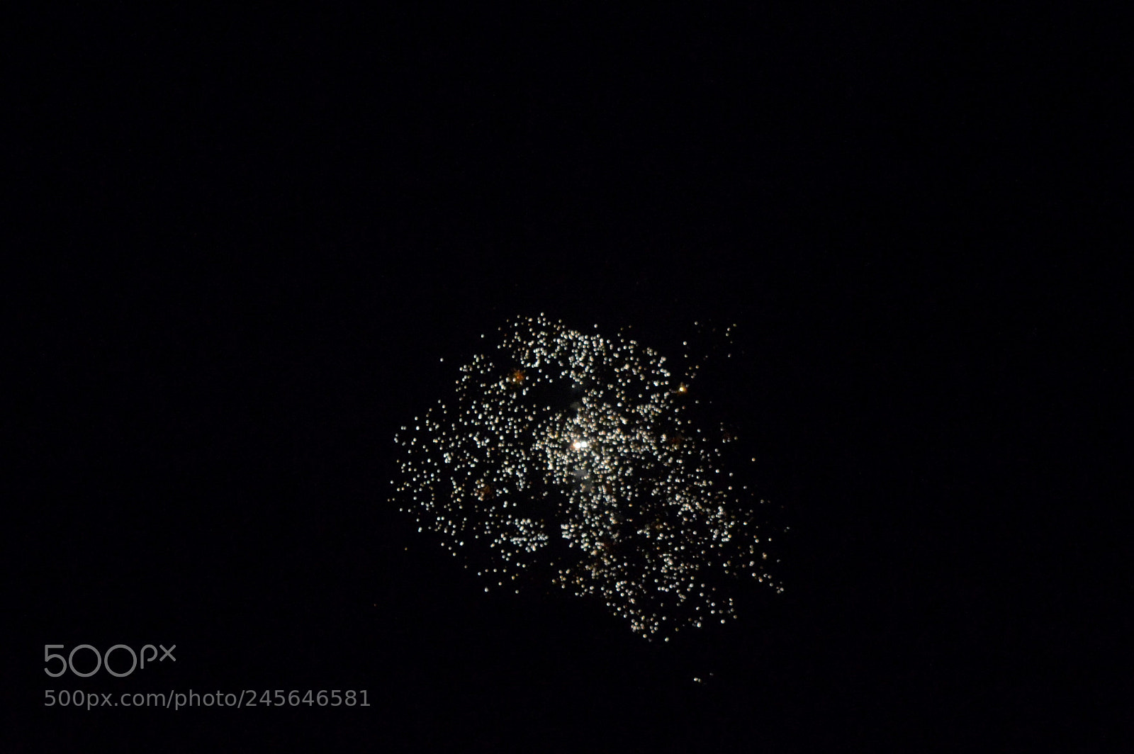 Nikon D3200 sample photo. Silver rain photography