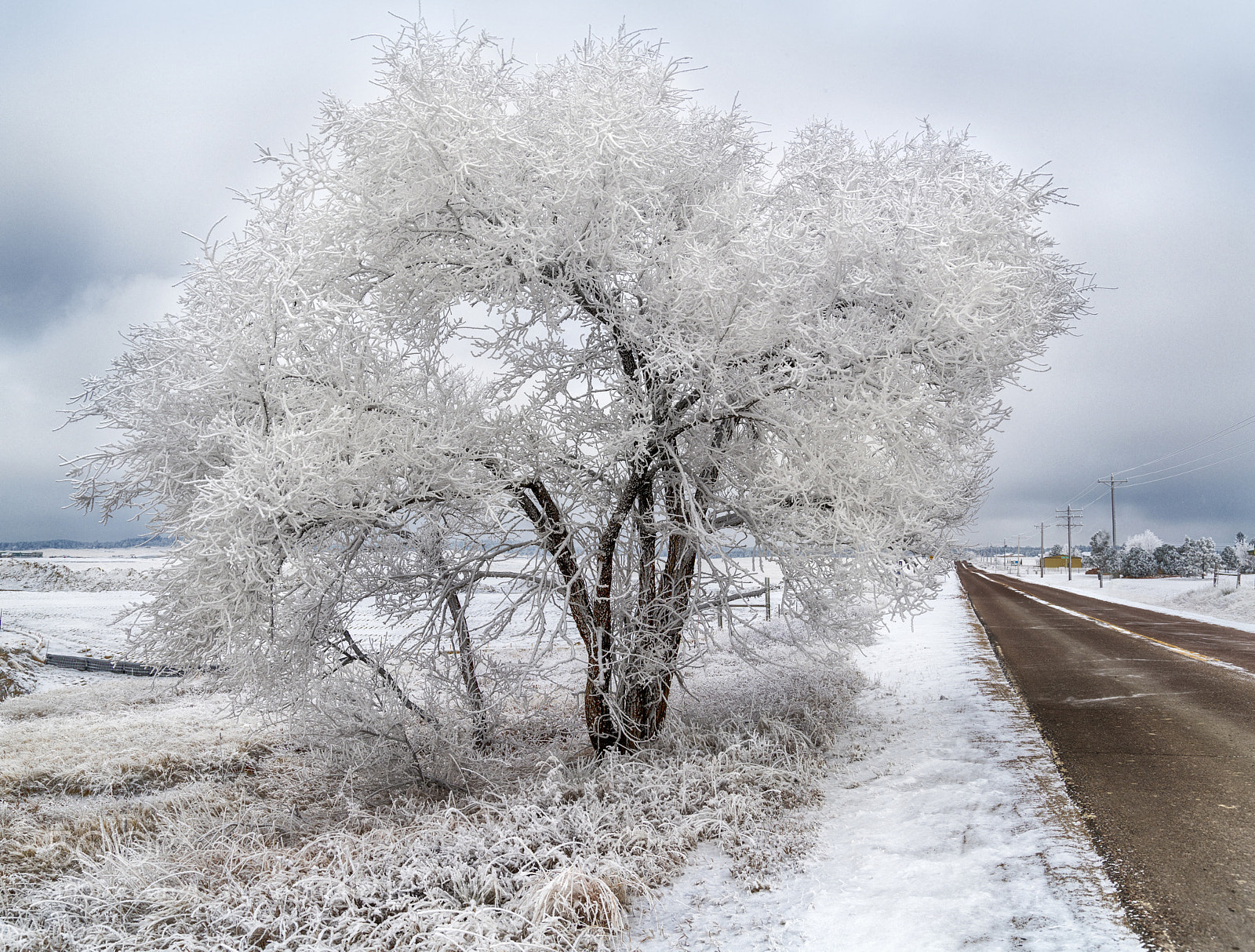 Nikon D850 sample photo. Snow day photography