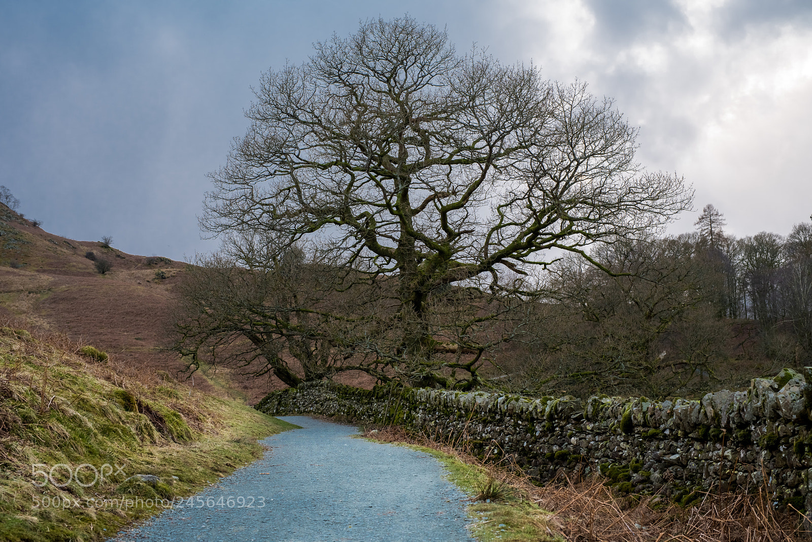 Nikon D810 sample photo. Grasmere - lake district photography