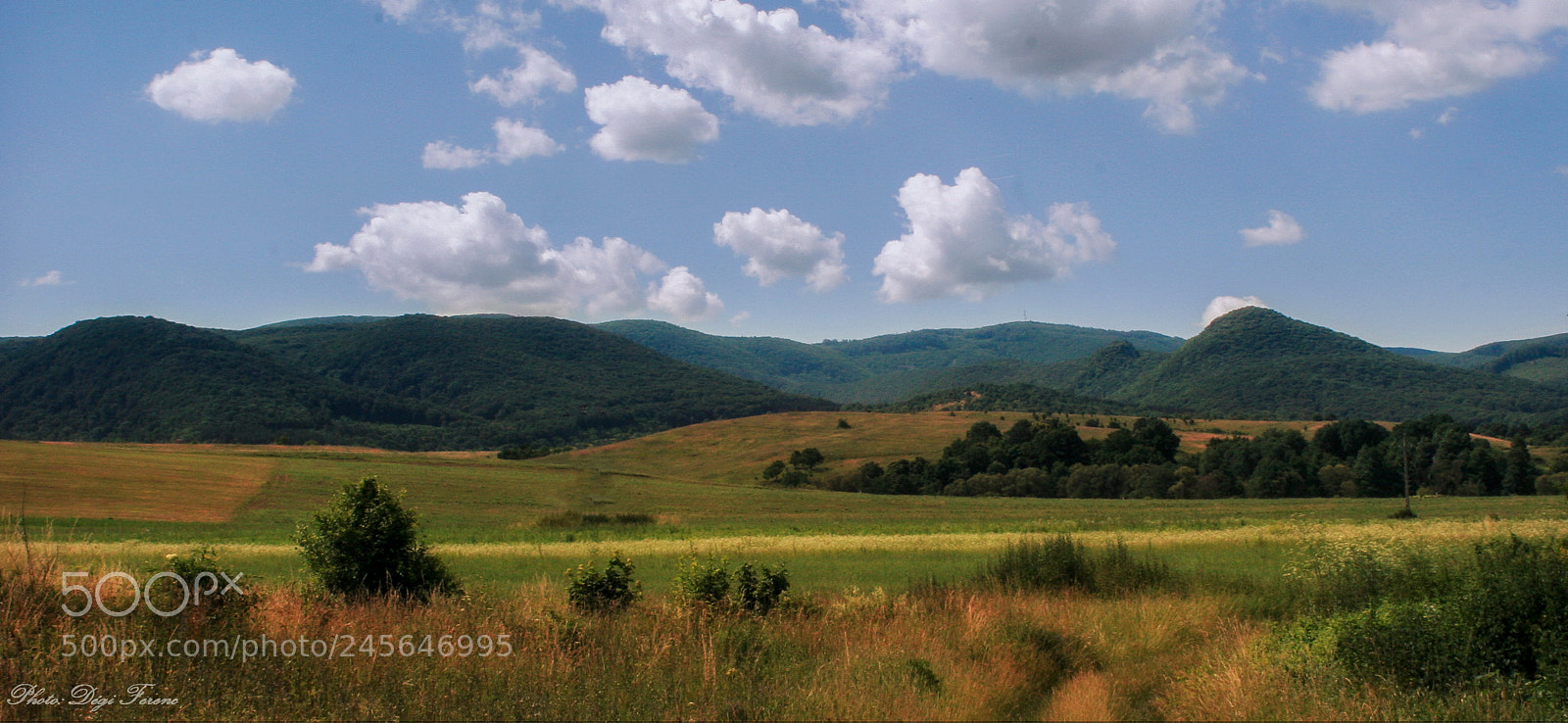 Canon EOS 20D sample photo. D destapolcs nyi hat photography