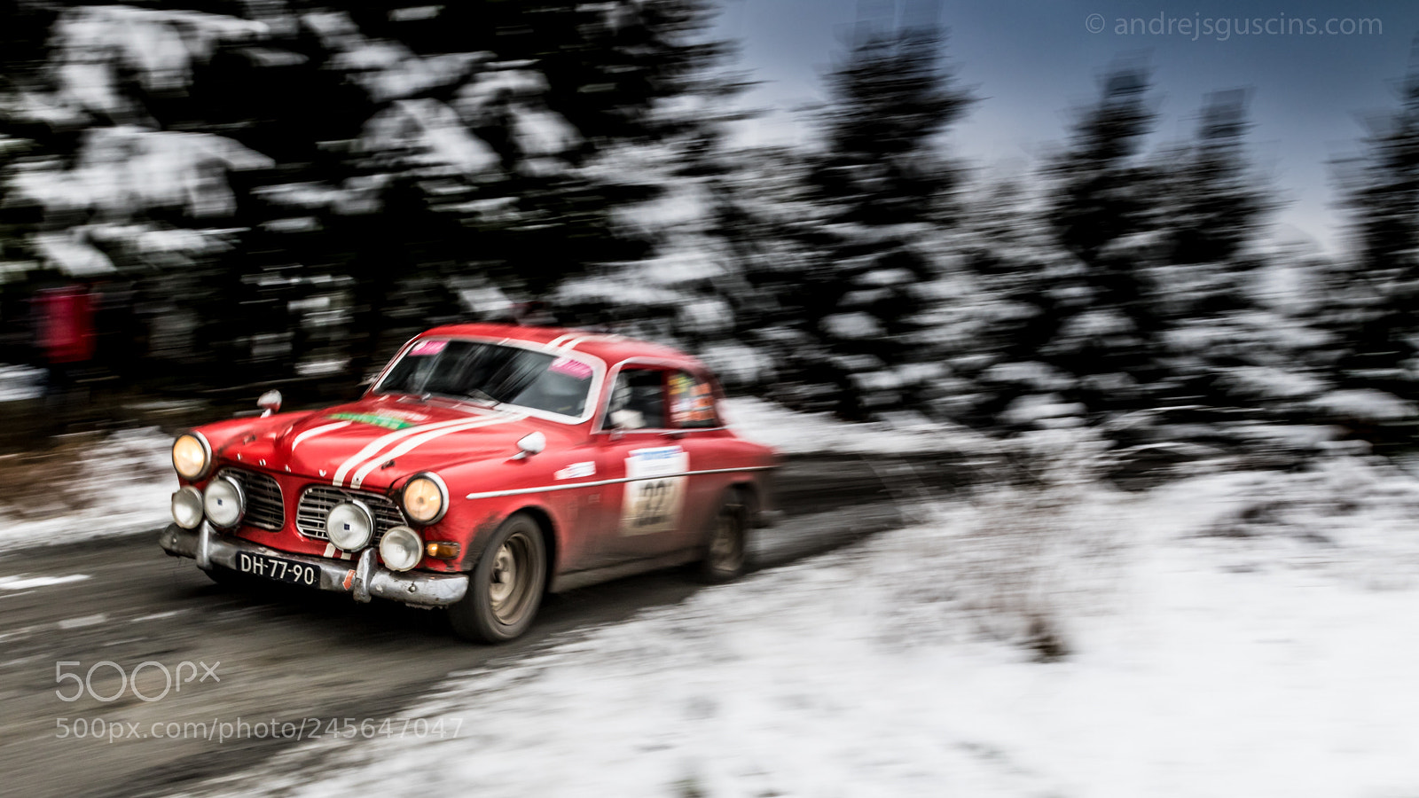 Canon EOS 7D Mark II sample photo. Amazon in ardennes! photography