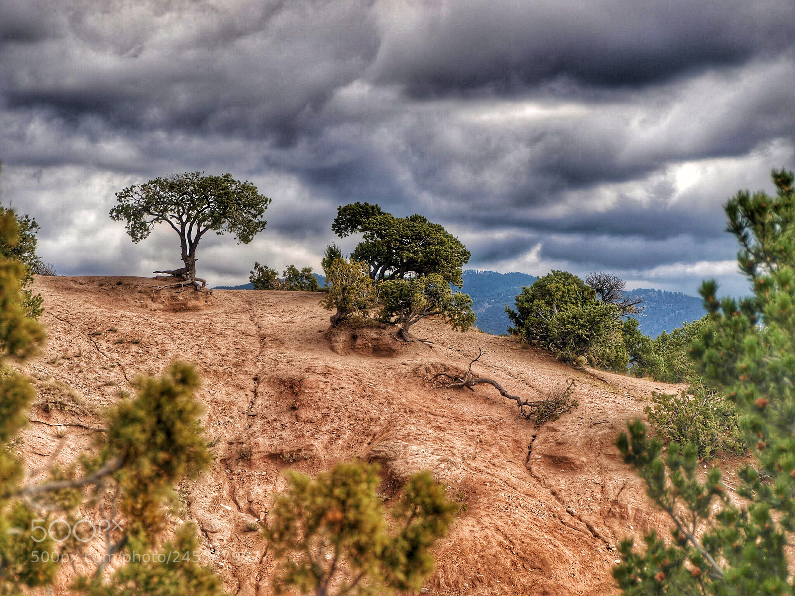 Olympus E-3 sample photo. Hillside, santa fe photography