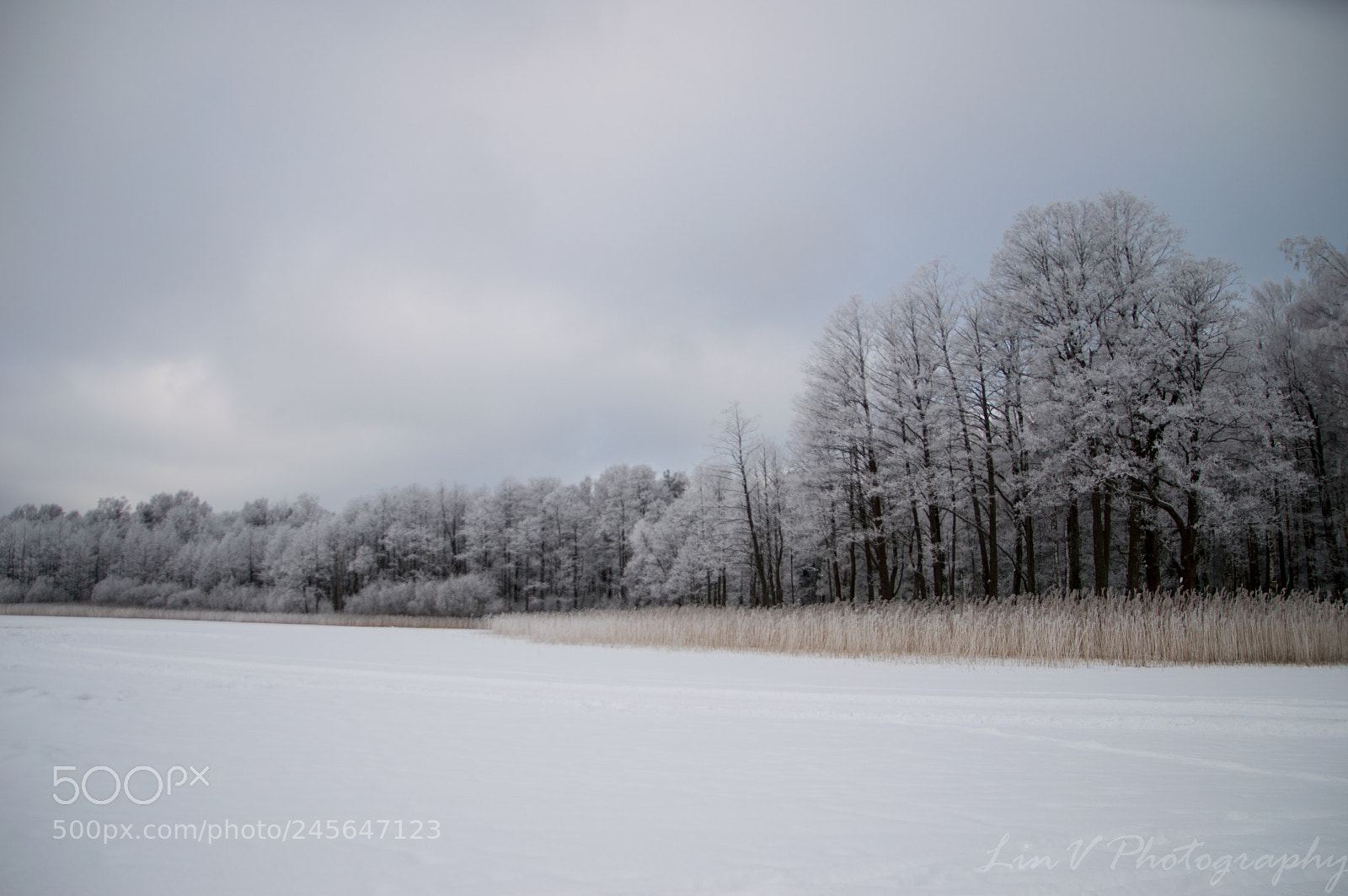 Nikon D3200 sample photo. Iceage photography