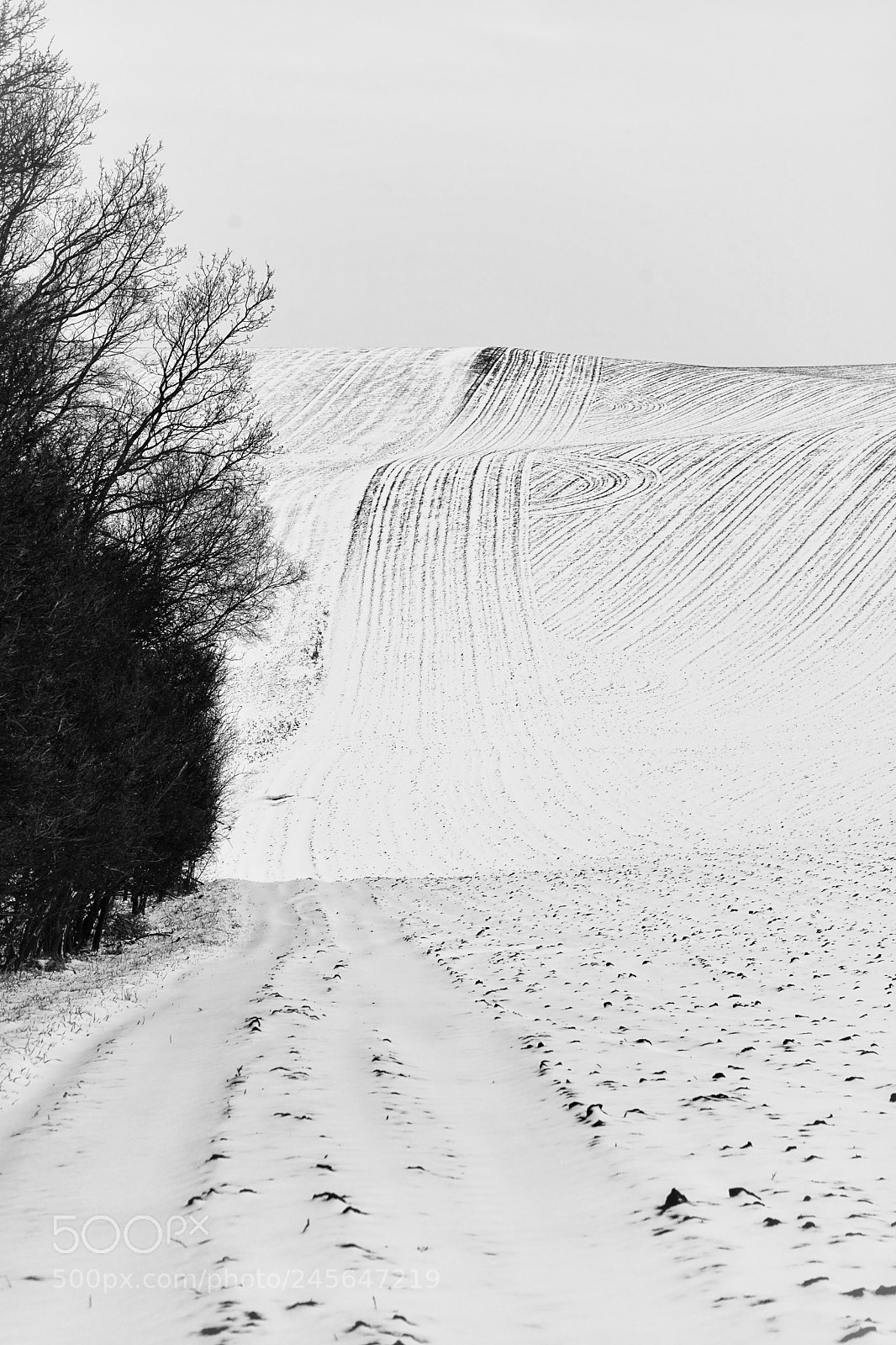 Sony a7 sample photo. Snow landscape... photography