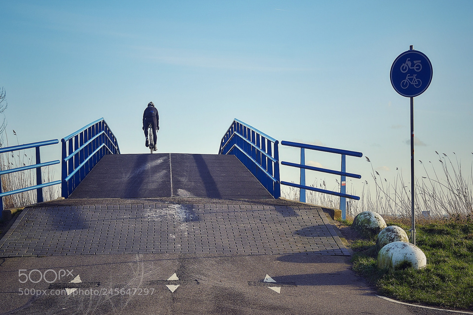 Sony ILCA-77M2 sample photo. Dutch bicycle bridge photography