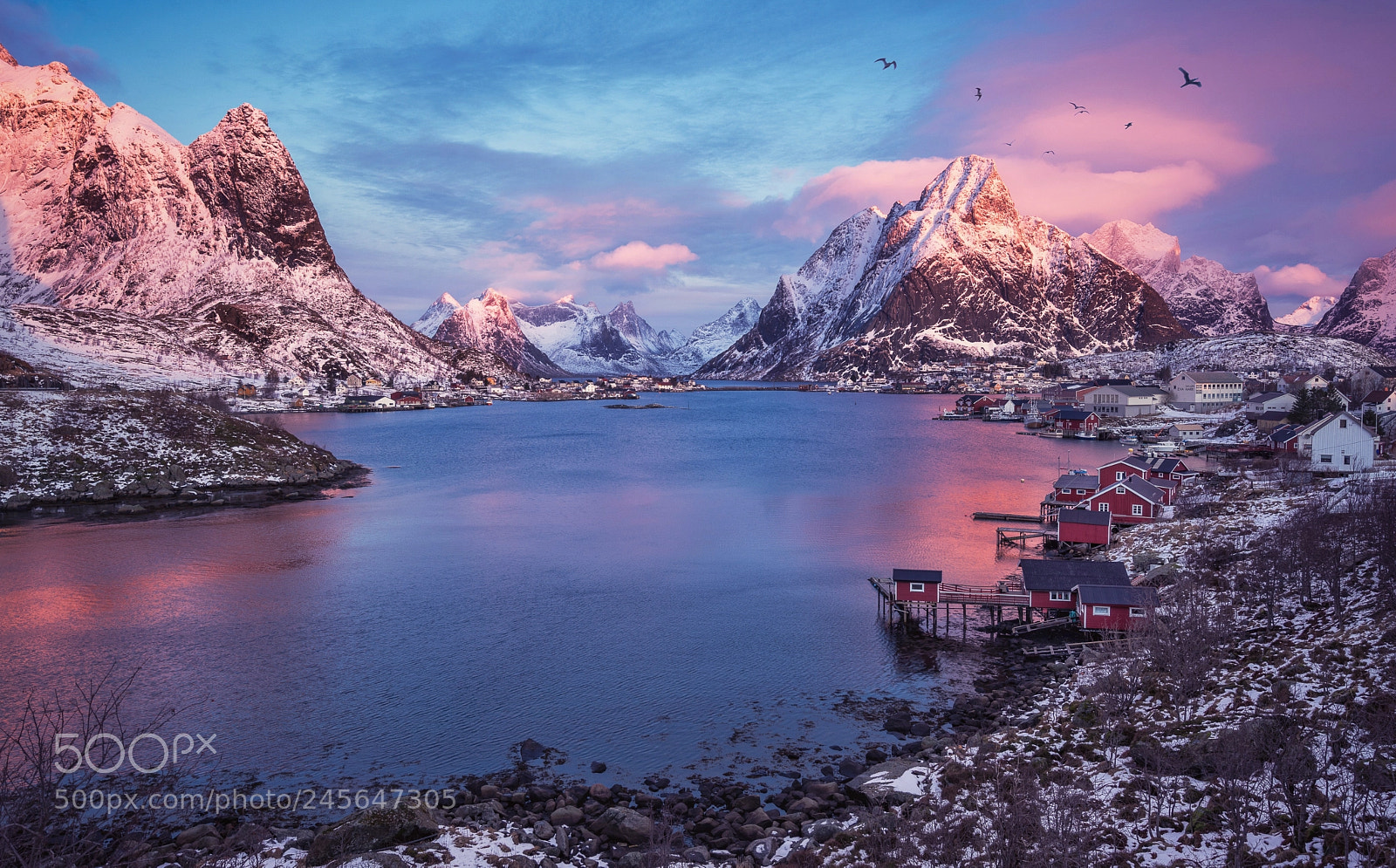 Sony a7R sample photo. Reine photography