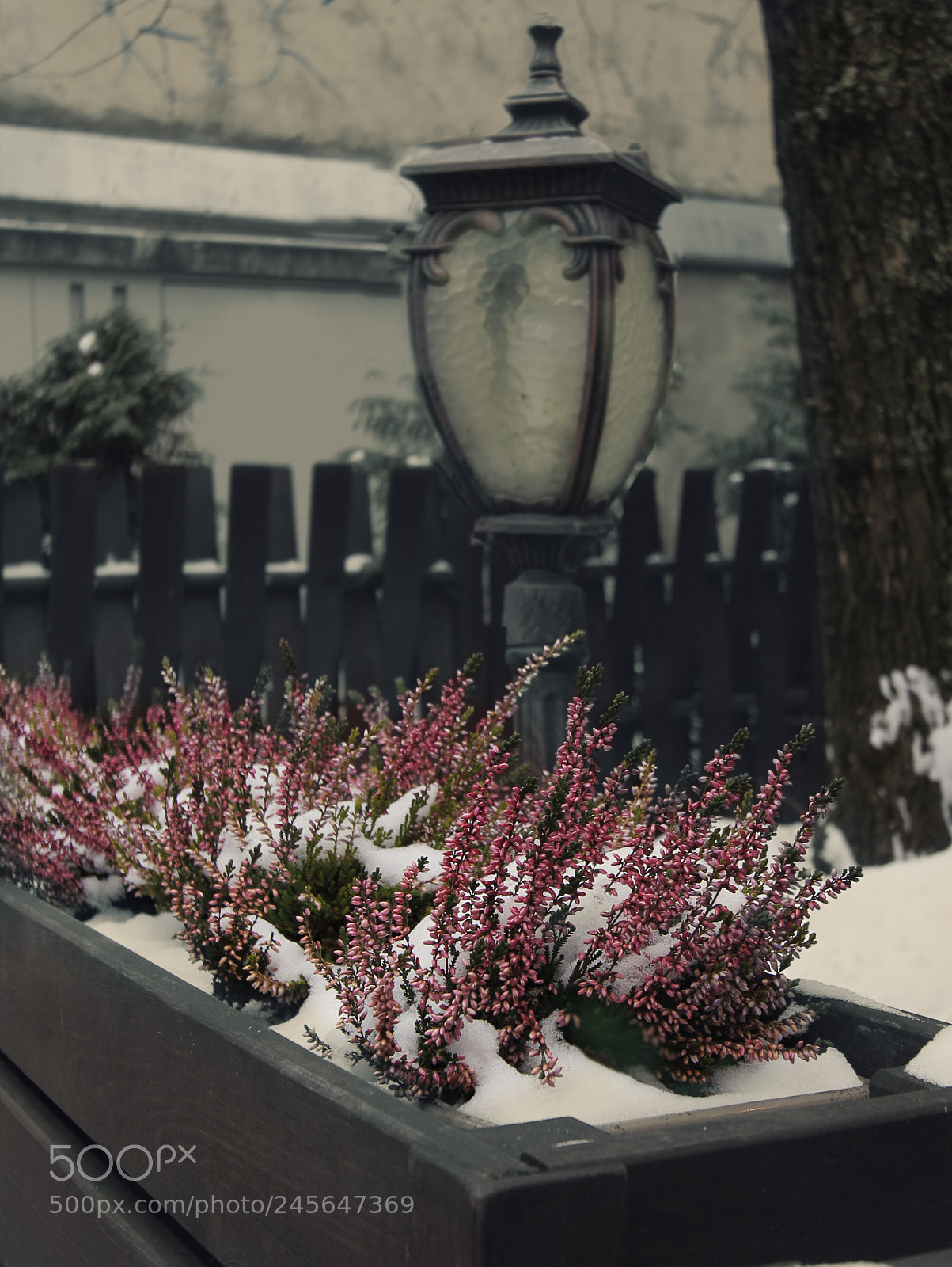 Canon EOS 60D sample photo. Winter in the city photography