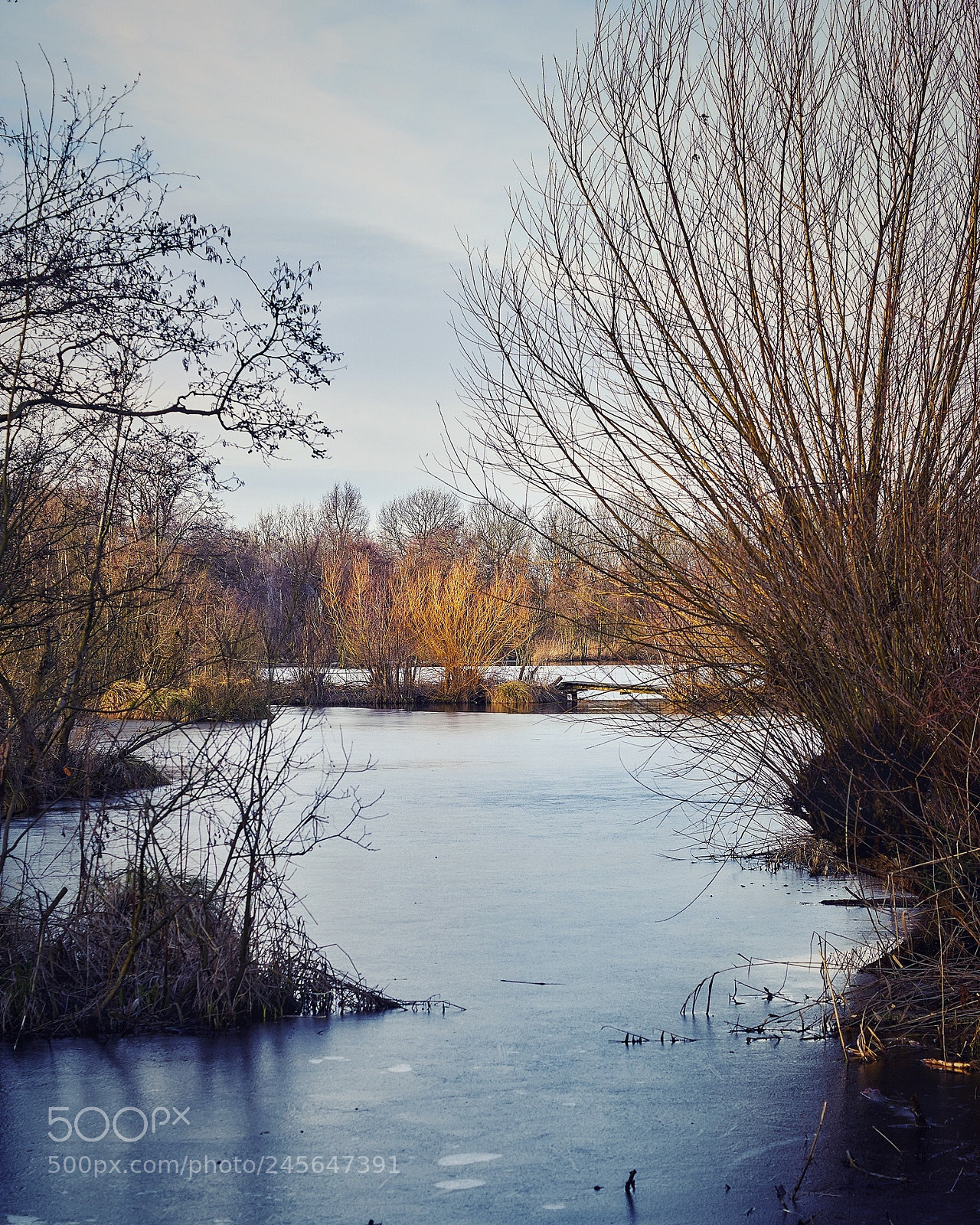 Sony ILCA-77M2 sample photo. Dutch winter landscape photography