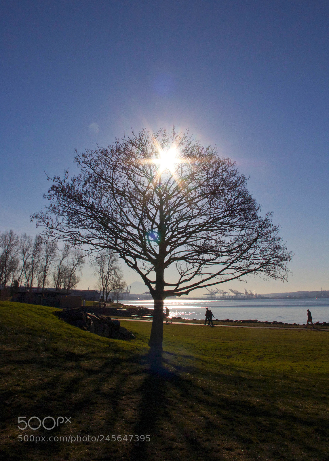 Canon EOS 60D sample photo. Morning light photography
