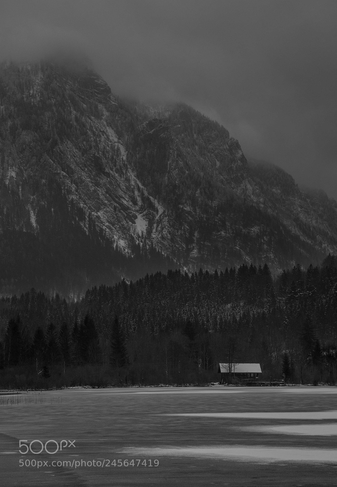 Canon EOS 60D sample photo. Lunzer see photography
