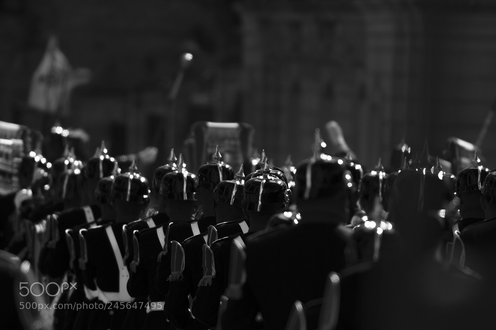 Canon EOS 600D (Rebel EOS T3i / EOS Kiss X5) sample photo. Presidential guard photography