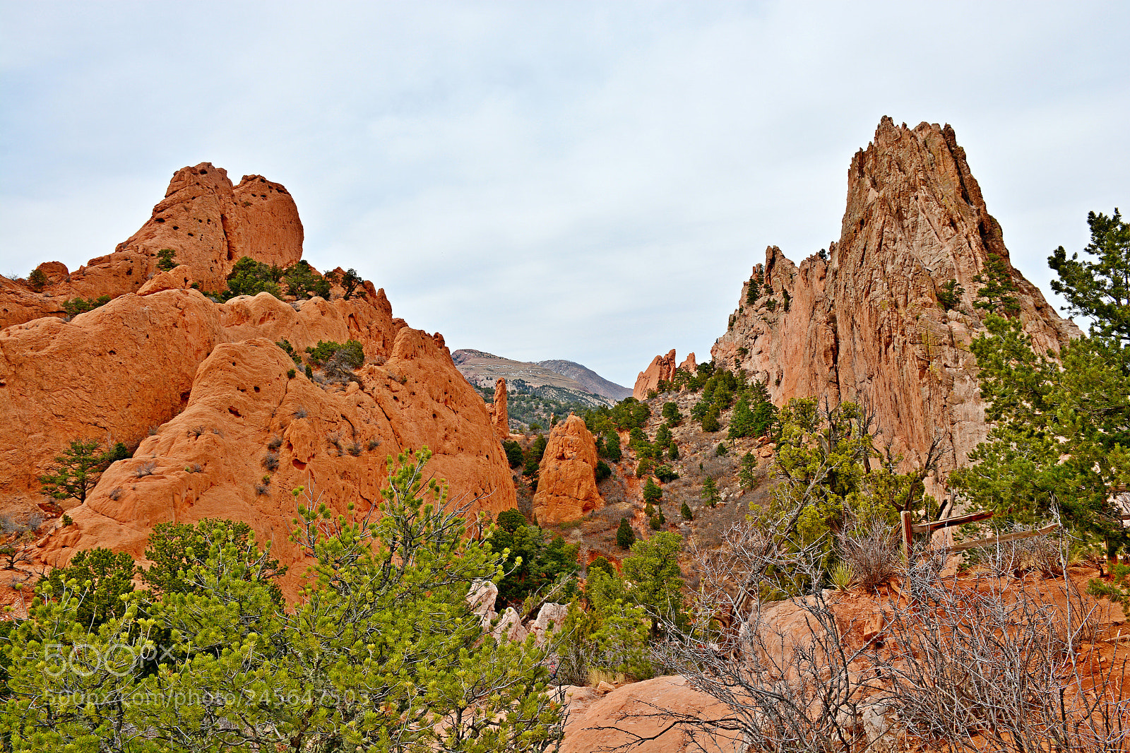 Nikon D7100 sample photo. Garden of the gods photography