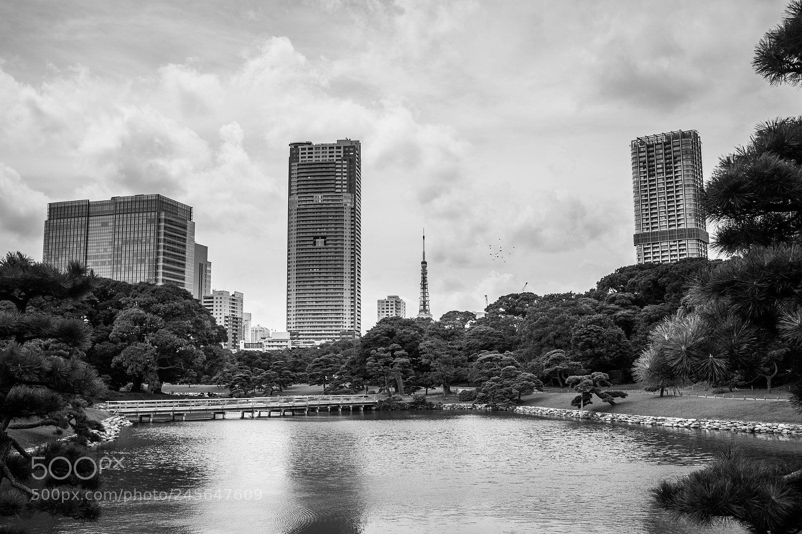 Fujifilm X100T sample photo. Tokyo contrast photography