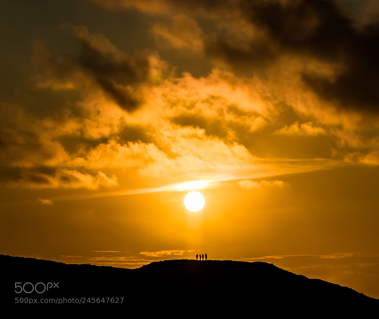 Canon EOS 7D Mark II sample photo. Watching the sun photography