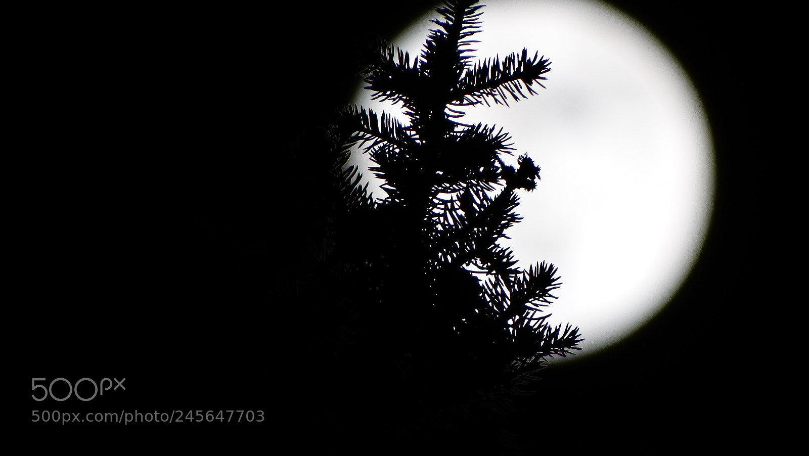 Sony Cyber-shot DSC-HX300 sample photo. Super moon photography