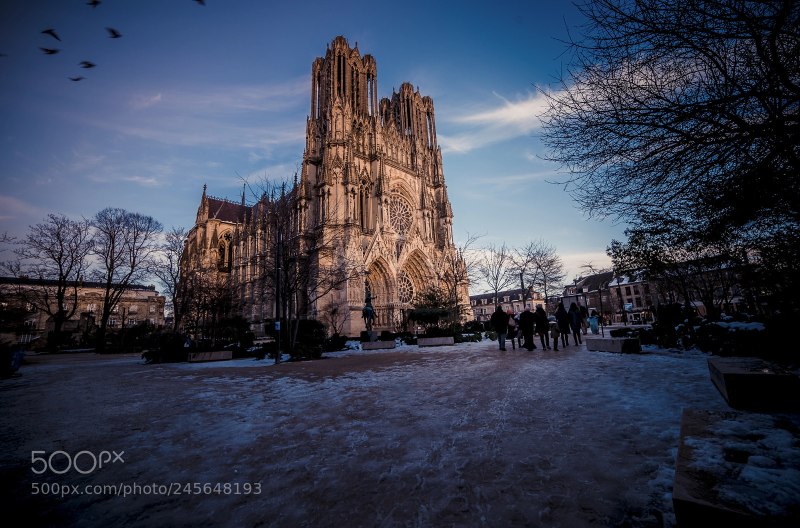 Nikon D610 sample photo. Reims, dreamy city photography