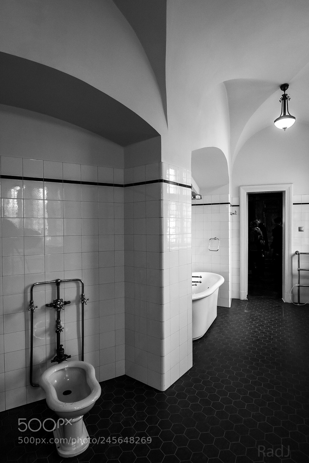 Canon EOS 40D sample photo. Palace bathroom photography