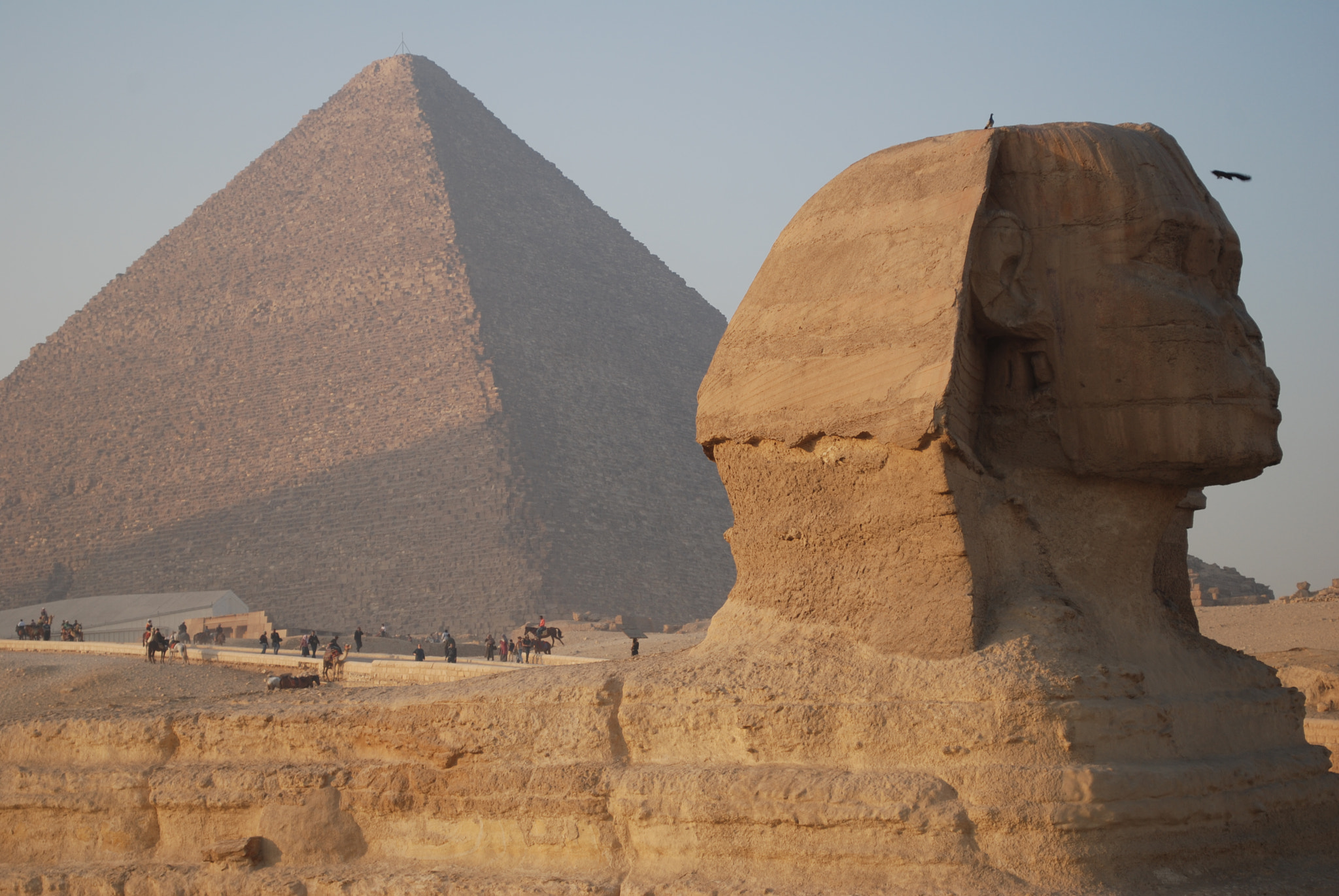 Nikon D80 sample photo. Sfing egypt o photography