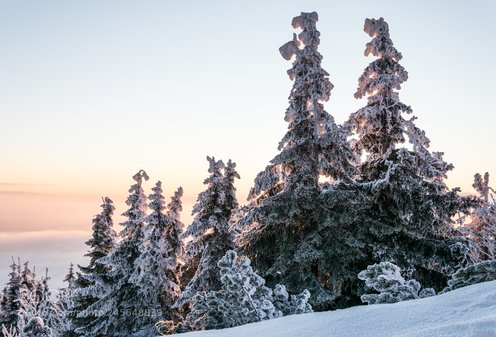 Nikon D7100 sample photo. Background sunrise photography