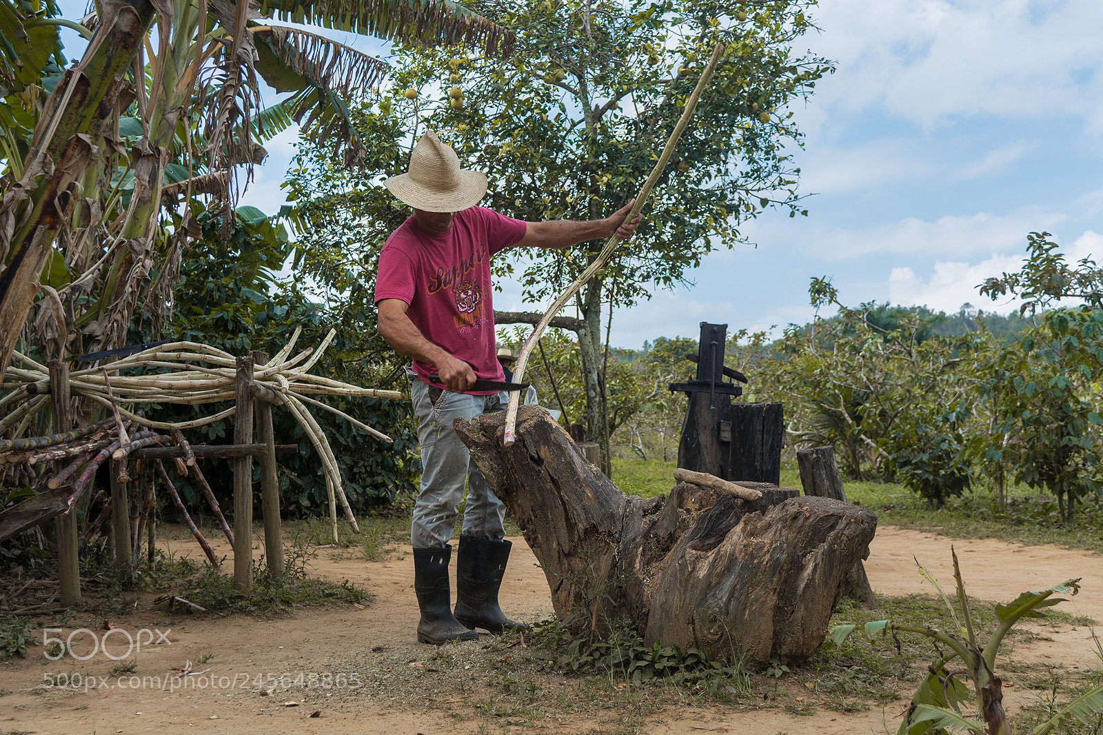 Nikon D5200 sample photo. Valle de viñales photography