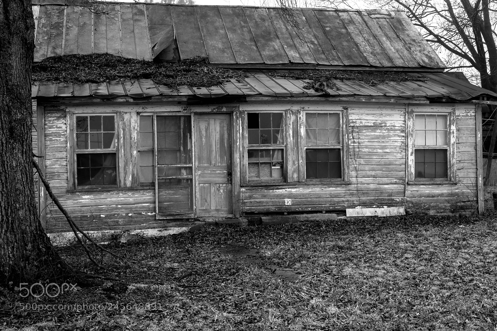 Sony a7 II sample photo. My new house photography