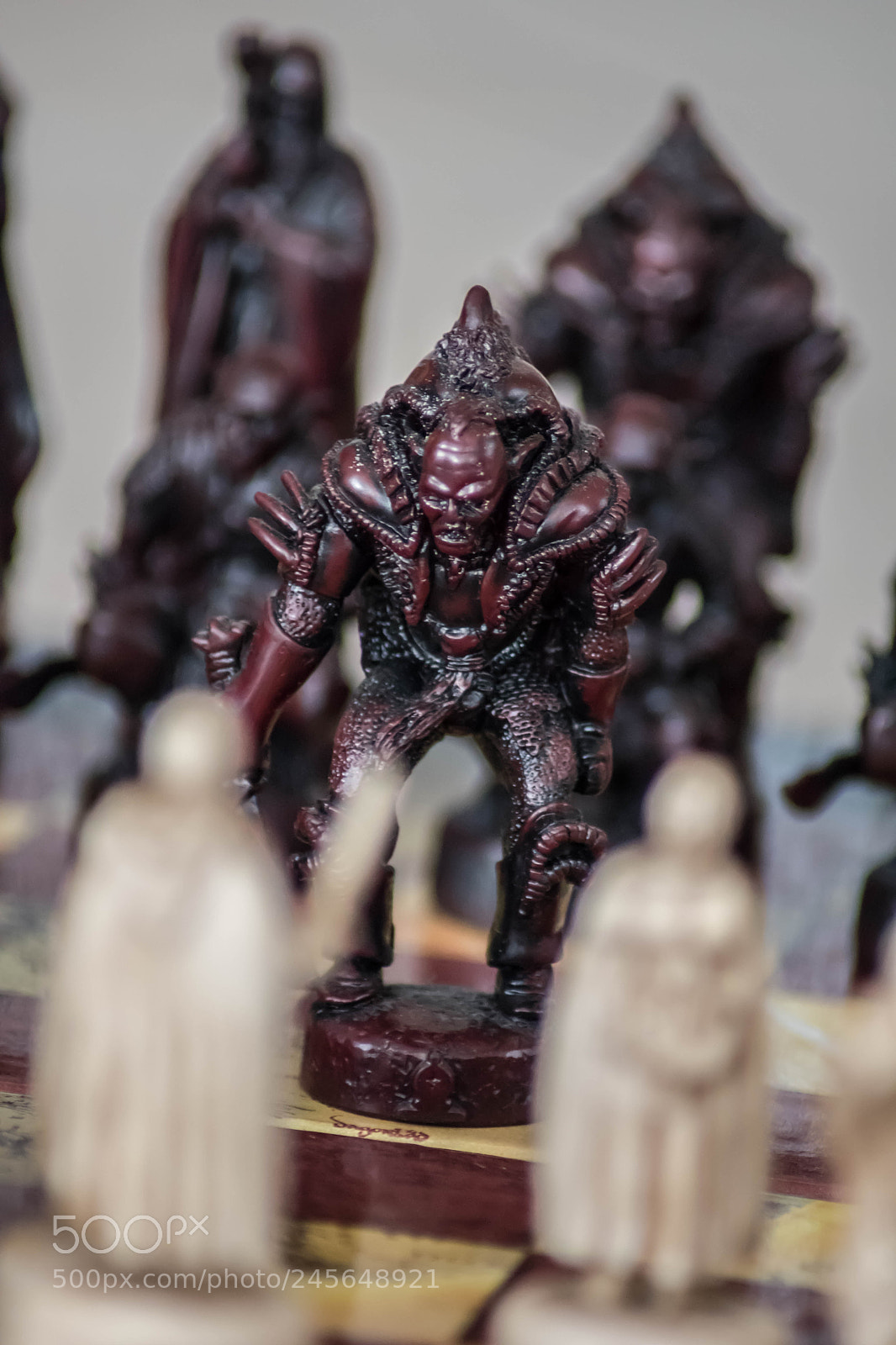 Nikon D5500 sample photo. Levelboss photography