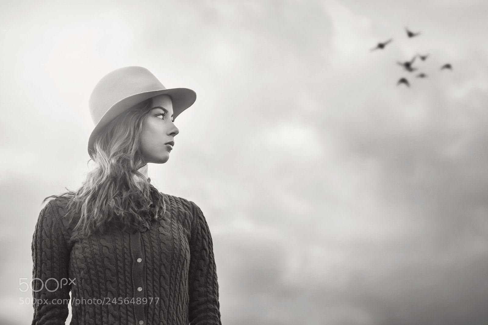 Nikon D850 sample photo. Bwthebirdschayenne photography