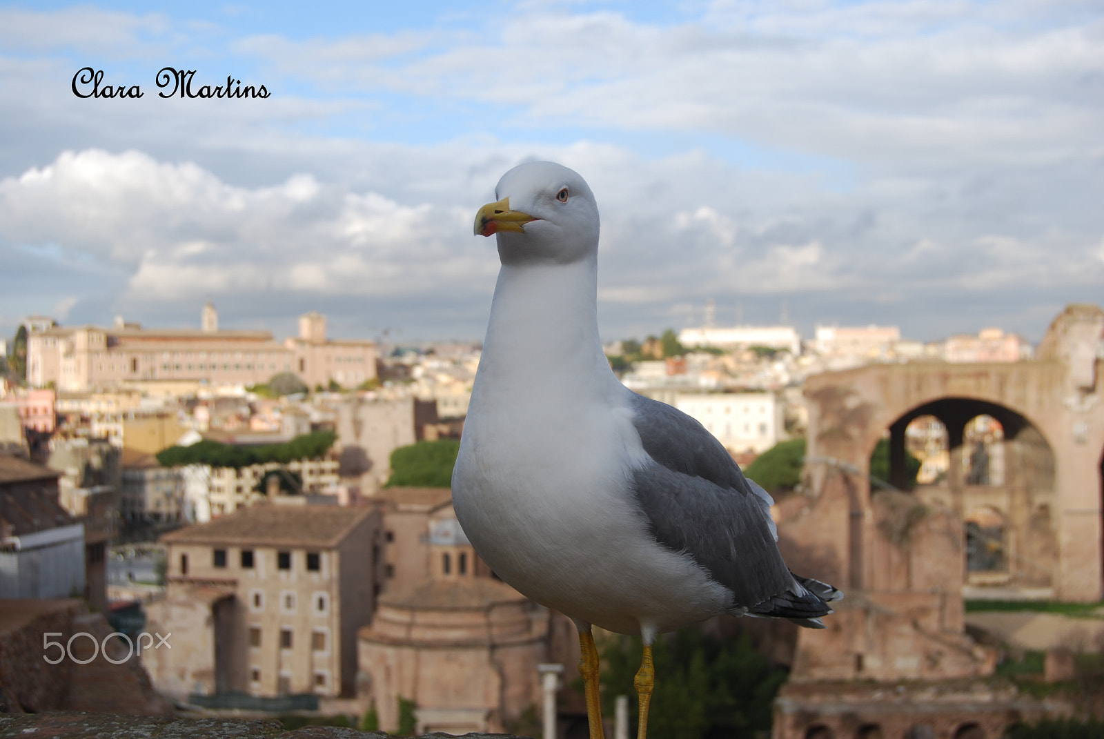 Nikon D60 sample photo. Roma photography