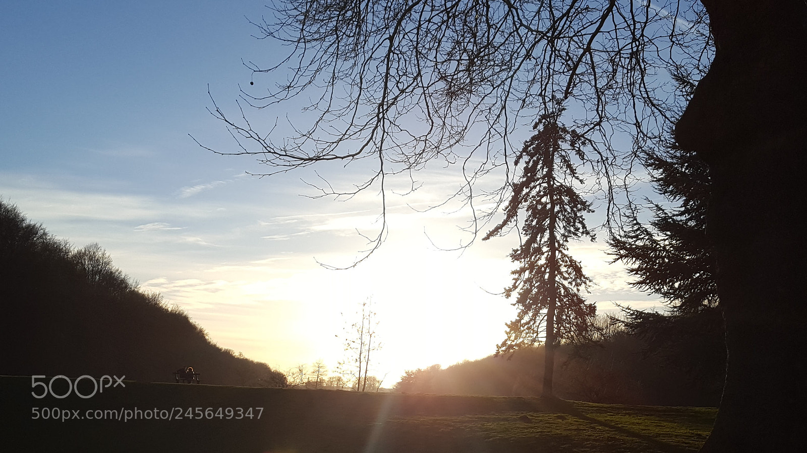 Samsung GALAXY S6 edge sample photo. Winter in the park photography