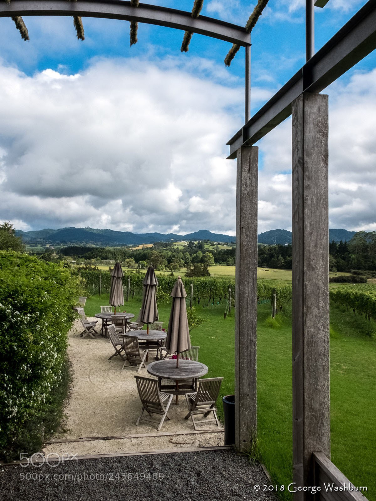 Fujifilm X30 sample photo. Ransom vineyards photography