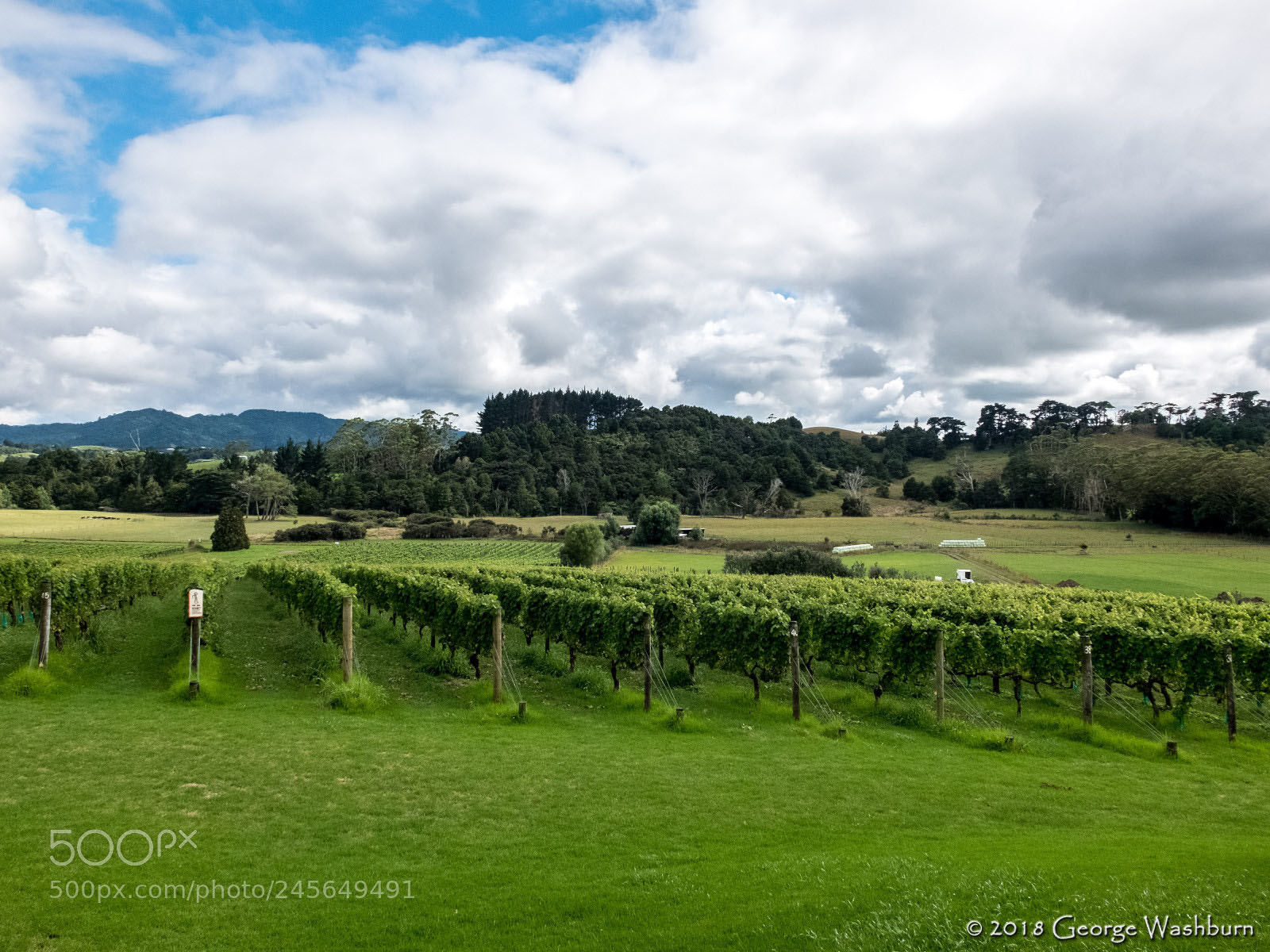 Fujifilm X30 sample photo. Ransom vineyards photography