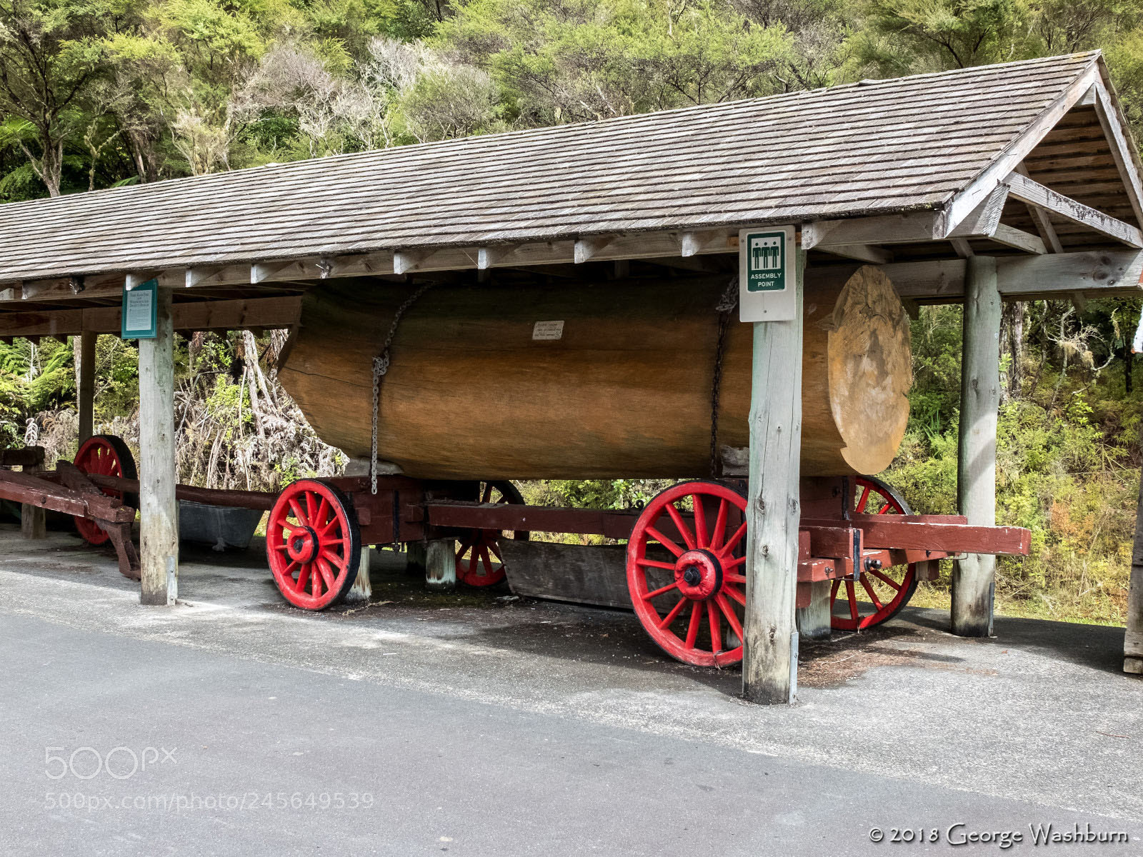 Fujifilm X30 sample photo. Parry kauri park photography