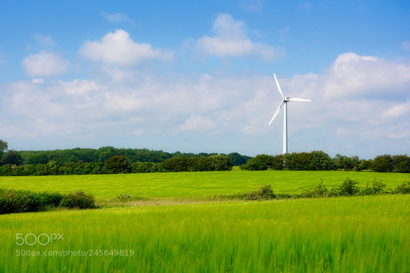 Nikon D5200 sample photo. Green energy photography
