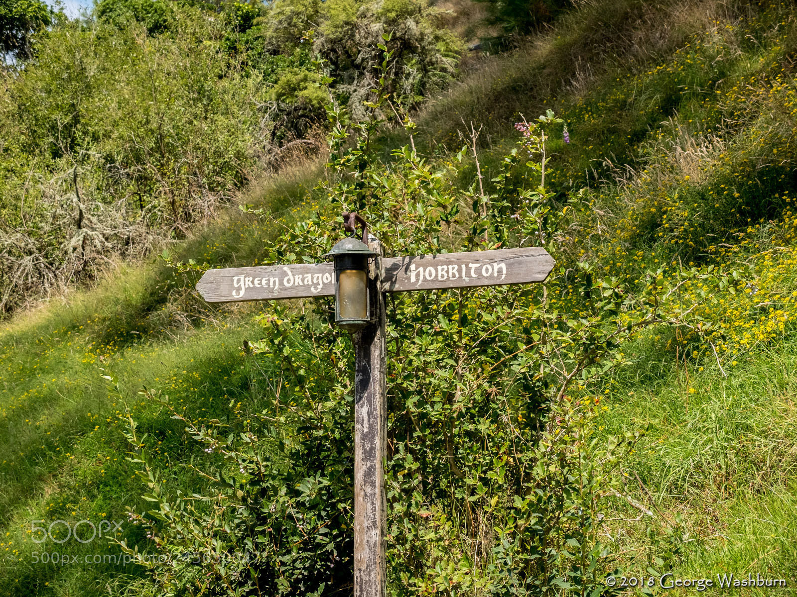 Fujifilm X30 sample photo. Hobbiton photography