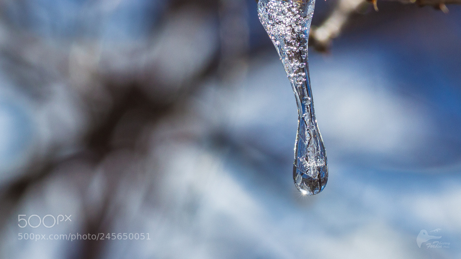 Canon EOS 700D (EOS Rebel T5i / EOS Kiss X7i) sample photo. Winter photography