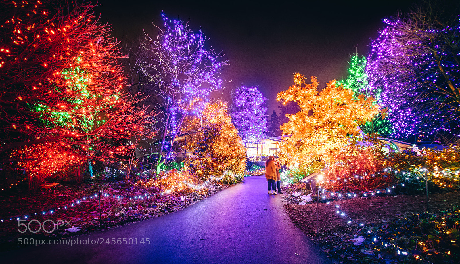 Nikon D7200 sample photo. Vandusen festival of lights photography