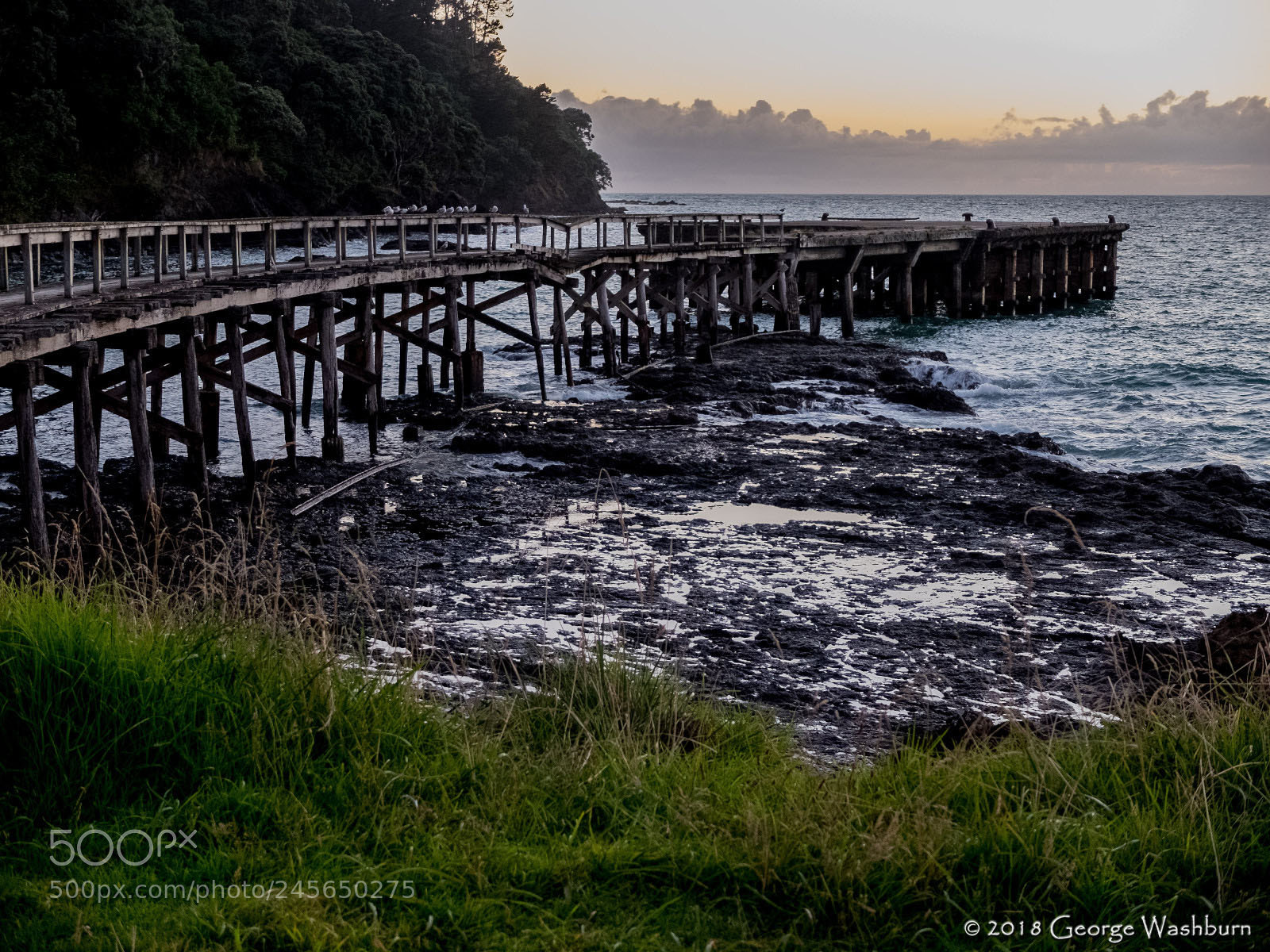 Fujifilm X30 sample photo. Hicks bay wharf photography