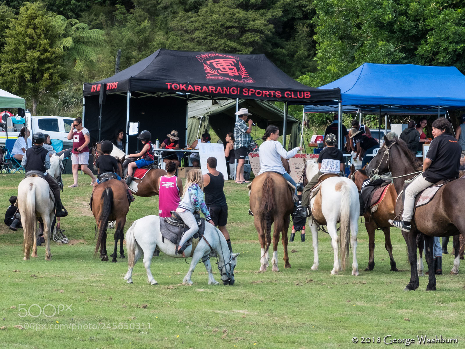 Fujifilm X30 sample photo. Tokararangi sports club photography
