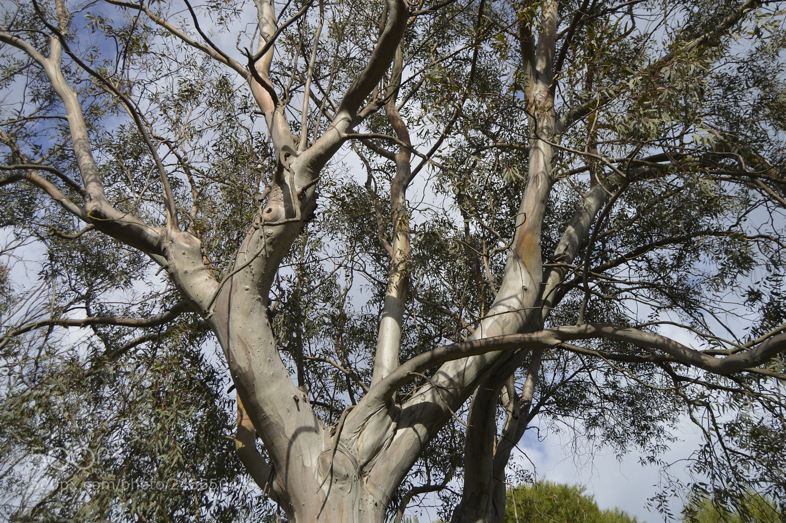 Nikon D3200 sample photo. Ramudo photography