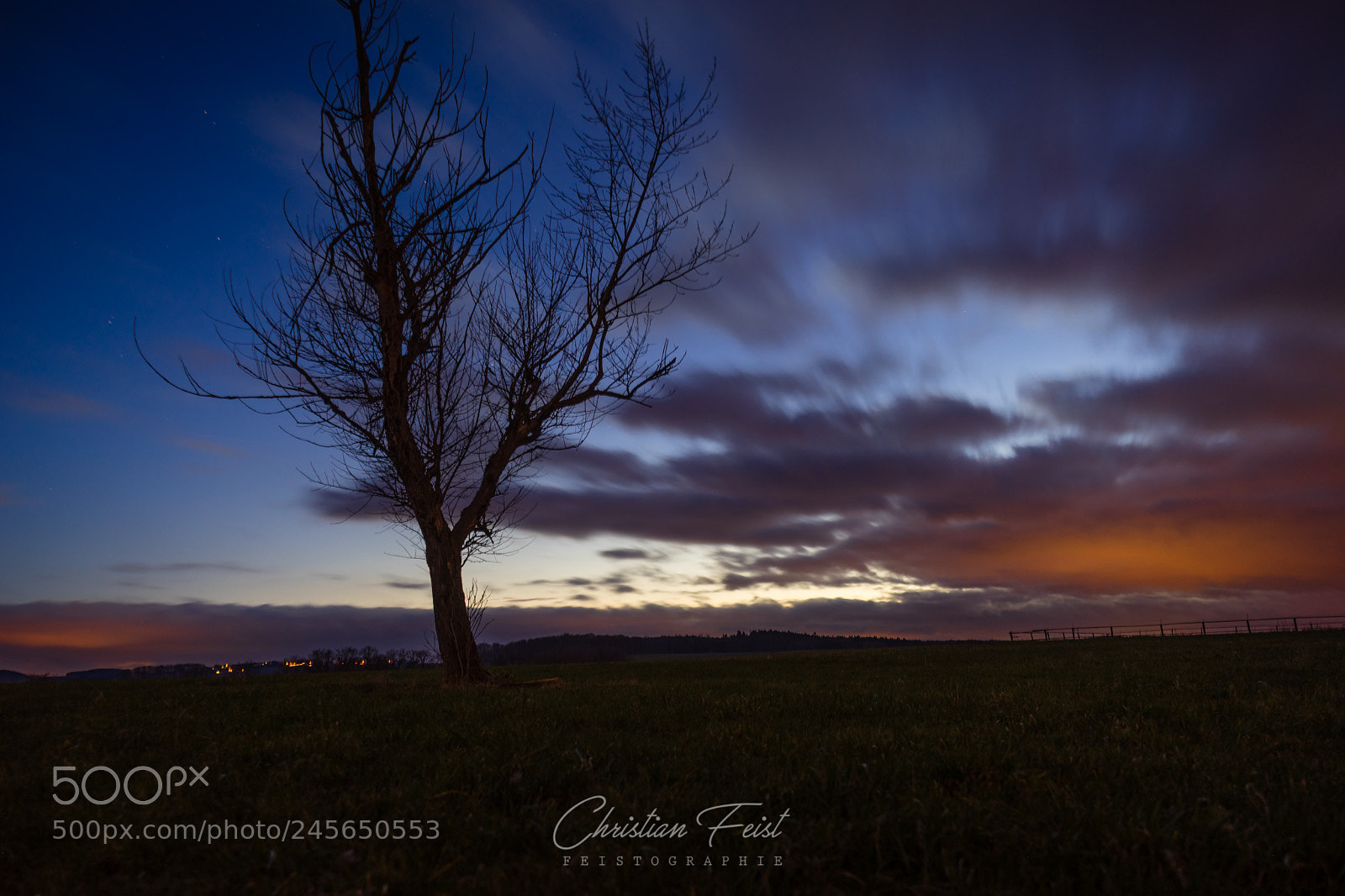 Sony a7 sample photo. Tree at night photography